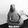 жду деньги.webp