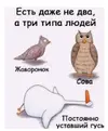 IMG_20220212_111416.webp