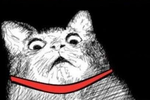 catt.webp