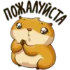 пожалуйста.webp