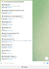 13.webp