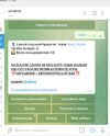 Screenshot_2.webp