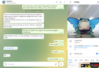 кидо3.webp
