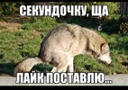 D1oyWUrW0AYTr_A.webp