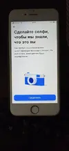 рево.webp