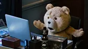 ted-2-1920.webp