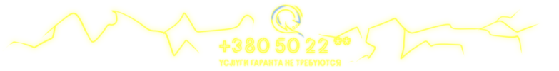 Qiwi.webp