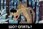 509463_original.webp 509463_original.webp