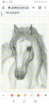 Screenshot_20220506-201056.webp