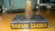 750f3443f1e7fd168d935da2d1pz--podarki-k-prazdnikam-podarok-s-yumorom-bolshaya-shishka.webp