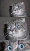 exdwudmxaaovate.webp