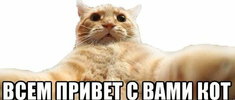 1654529992809.webp