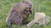 1655297041050.webp