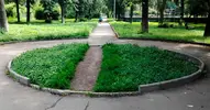 gazon1163.webp