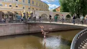 pryizhok_u9eCxg7.webp
