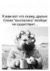 IMG-20220428-WA0000.webp