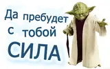5410.webp