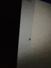 Ap_zfSUJ6h8.webp