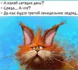 IMG_20220630_120732.webp