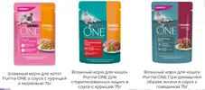 пурина.webp пурина.webp