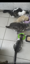 Screenshot_20220730-184037.webp