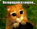 IMG_20220802_233457.webp