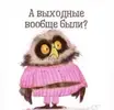 IMG-a495d0344fb01d76facf0dcc8f572dd7-V.webp