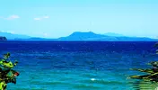 DSC02411.webp