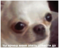 1660334319127.webp