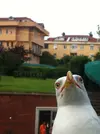 zveKv3L.webp