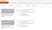 2 dnv.webp