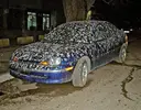 borba_s_ptichim_pomyotom_na_mashine.webp