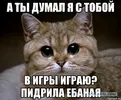 14534999.webp