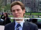 meme.webp