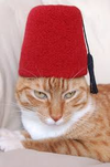 1662963508406.webp