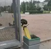 Сохраненное изображение 2022-9-12_9-59-26.46.webp