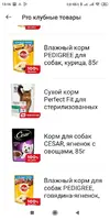 питомцы.webp