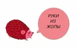 8724EF85-B8E9-485B-BDAD-A6B23F239850.webp