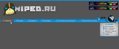 111.webp