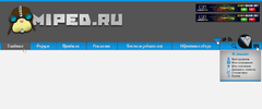 222.webp