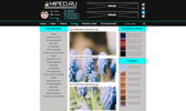 123.webp