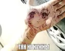 QYGleNctF1Y.webp
