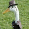 1664551128973.webp