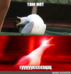1664551884655.webp