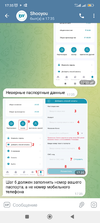 Screenshot_2022-10-13-17-35-56-817_org.telegram.messenger.webp
