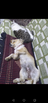 Screenshot_20221027-235020.webp