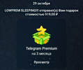 20221029_034710.webp