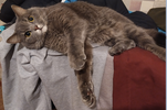 0000000.webp