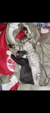 2022-11-04_13-39-08-608.webp