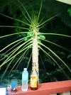 IMG_20181228_221553.webp